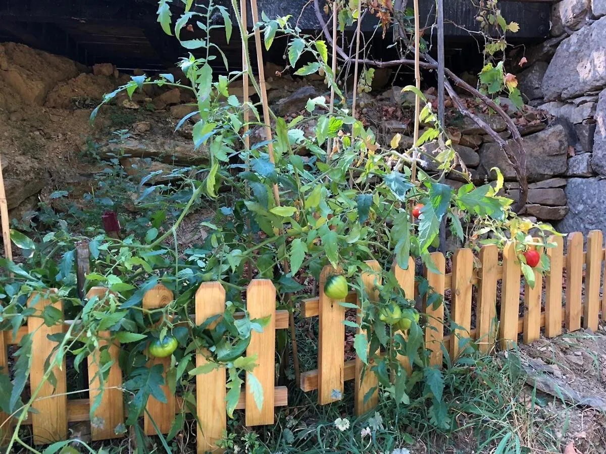 La Cabane Des Raspes Montjaux